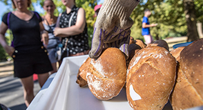 Lundi 19 octobre, venez préparer gratuitement votre pain bio au parc départemental de la Plage-Bleue à Valenton.
