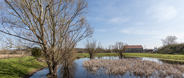La Plaine des Bordes reconnue Zone Naturelle d&rsquo;Int&eacute;r&ecirc;t Ecologique Faunistique et Floristique (ZNIEFF)