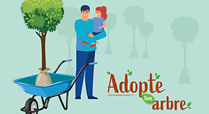 Devant le succ&egrave;s de l'op&eacute;ration "Adopte ton arbre", le D&eacute;partement augmente la jauge&nbsp;: de nouveaux arbres sont pr&ecirc;ts &agrave; &ecirc;tre adopt&eacute;s&nbsp;! Inscrivez-vous en ligne jusqu'au 16 octobre.