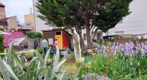 Sensibilisation du grand public et des scolaires à travers des dispositifs variés, alimentation bio, installation de ruches… Voici les 8 projets lauréats exemplaires pour le climat en Val-de-Marne.