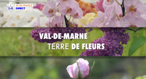 Le 25 mai dernier, les caméras du nouveau numéro d'"ACTION !" vous ont invité à découvrir l'histoire des fleurs en Val-de-Marne. Vous avez raté l'émission ? Découvrez le replay sur le site de BFM Paris Île-de-France.