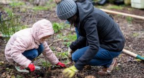 Et si vous plantiez un arbre sur la Végétale, la voie verte emblématique du Val-de-Marne ? Rendez-vous samedi 23 novembre pour une plantation citoyenne gratuite et ouverte à tous. Inscrivez-vous vite !