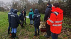 Dans le cadre du « Plan 50 000 arbres », le parc des Lilas à Vitry-sur-Seine a récemment accueilli 700 jeunes plants, portant le total à 19 426 arbres plantés depuis le lancement de l'initiative.