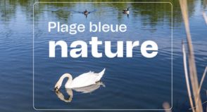 Samedi 17 mai, le D&eacute;partement du Val-de-Marne vous donne rendez-vous &agrave; la Plage Bleue (Valenton) pour une immersion au c&oelig;ur de la biodiversit&eacute; aquatique. Ateliers, animations, visites guid&eacute;es&hellip; Consultez le programme&nbsp;!
