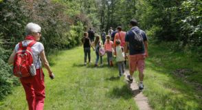 Envie de participer &agrave; des balades, observations, sorties cr&eacute;pusculaires, randonn&eacute;es ou encore activit&eacute;s sportives pour d&eacute;couvrir les multiples facettes de l'Arc Bois&eacute;&nbsp;? Inscrivez-vous d&egrave;s maintenant.