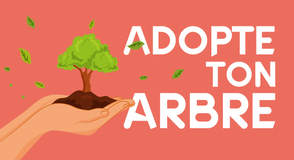 Samedi 13 septembre, &laquo; Adopte ton arbre &raquo; revient pour une nouvelle &eacute;dition &agrave; Thiais&nbsp;! R&eacute;servez d&egrave;s &agrave; pr&eacute;sent l'un des 300 arbres mis &agrave; la disposition gr&acirc;ce &agrave; notre formulaire en ligne. 
